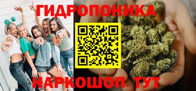 apvp Гай